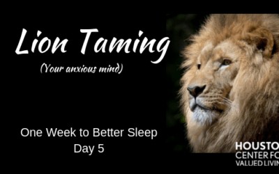 Lion Taming – One Week to Better Sleep